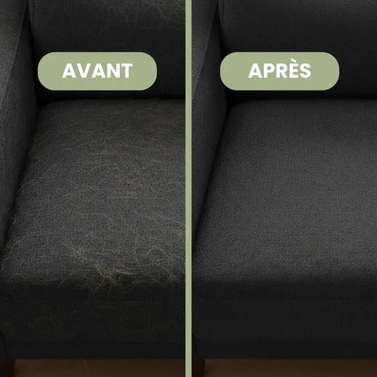 Comment enlever les poils de chien sur un canapé en tissu facilement