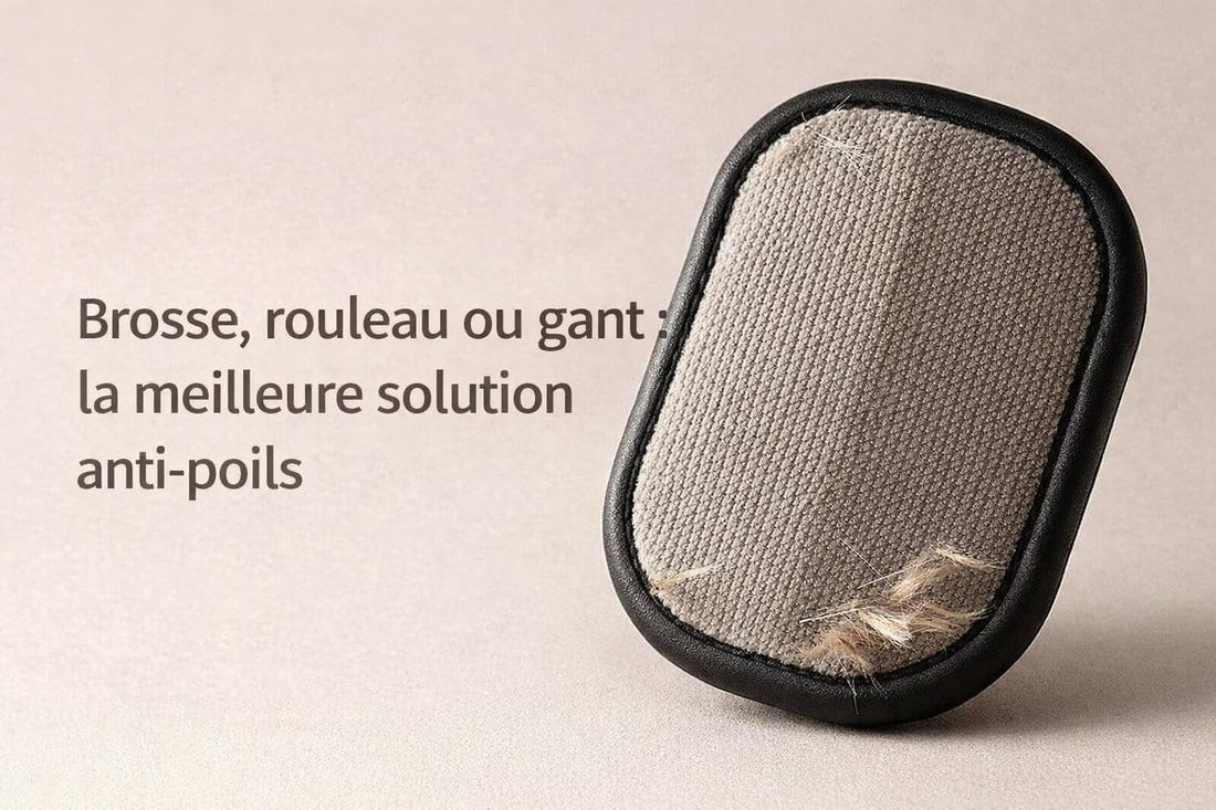 Brosse, rouleau ou gant : quelle solution anti-poils choisir pour chien et chat ?