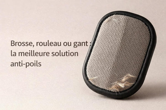 Brosse, rouleau ou gant : quelle solution anti-poils choisir pour chien et chat ?