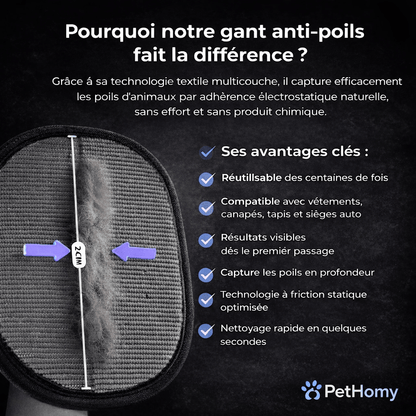 Gant Anti-Poils Chien Chat – Élimine les Poils en 30s | PetHomy