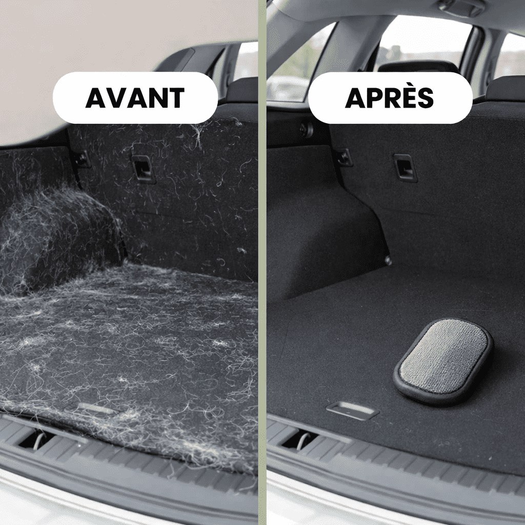 Gant Anti-Poils Chien Chat – Élimine les Poils en 30s | PetHomy
