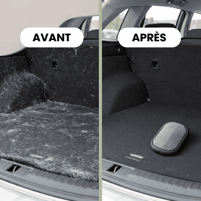 Gant Anti-Poils Chien Chat – Élimine les Poils en 30s | PetHomy