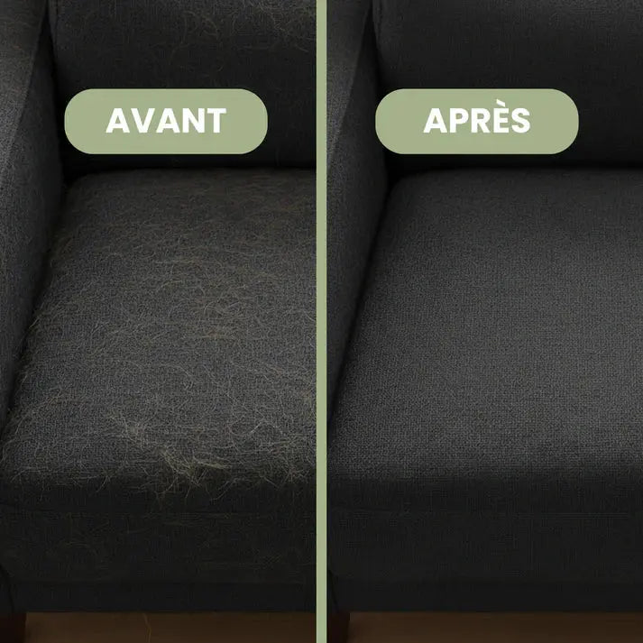 Éliminez les poils d’animaux de votre maison en 30 secondes — sans aspirateur PetHomy