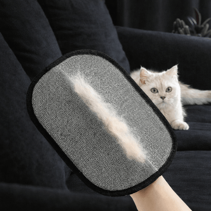 Gant Anti-Poils Chien Chat – Élimine les Poils en 30s | PetHomy